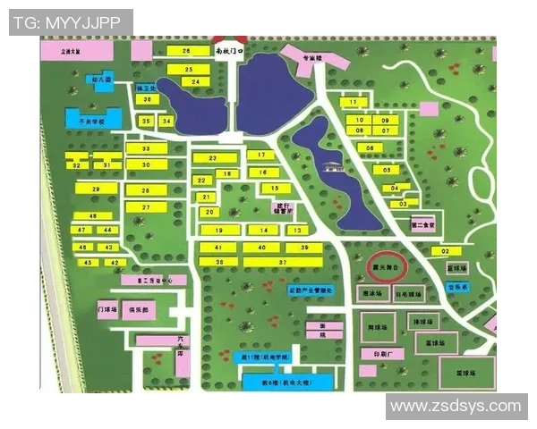 足球场建设的现状与未来发展趋势探讨及其对社区的影响分析